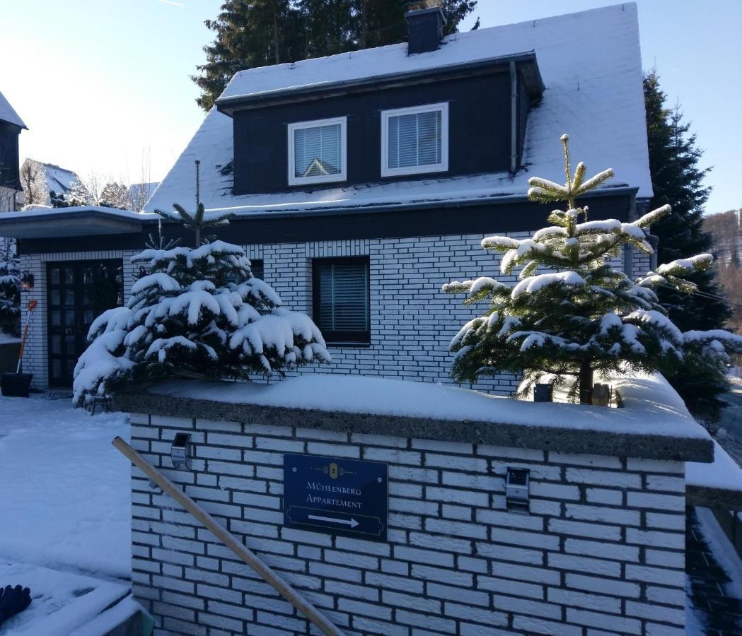 Apartment Muehlenberg Winterberg Eksteriør billede